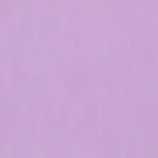 pastel purple background