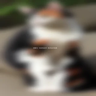 calico cat png