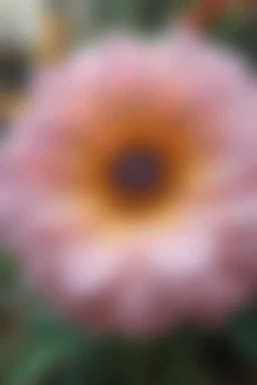 iphone flower background