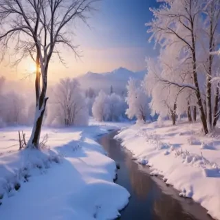winter wonderland wallpapers