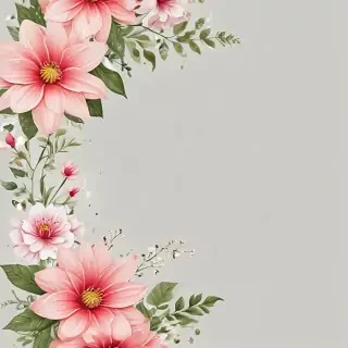flower transparent border