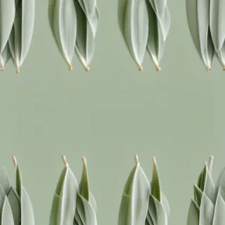 sage green background