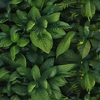 zoom background plants