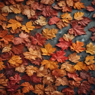 iphone backgrounds fall