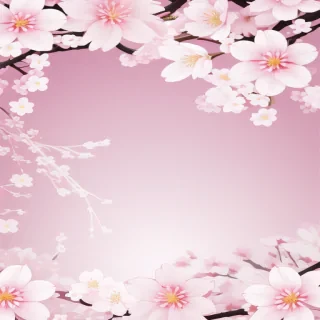 sakura flower background