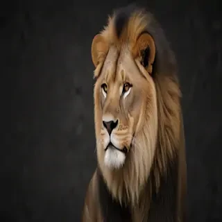 lion background