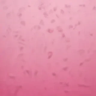 pink blank background