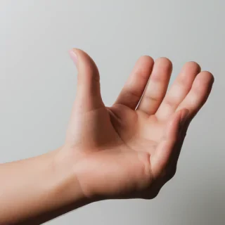 hand holding png