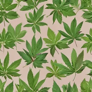 weed leaf png