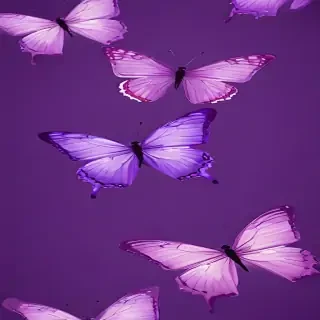 butterfly backgrounds purple