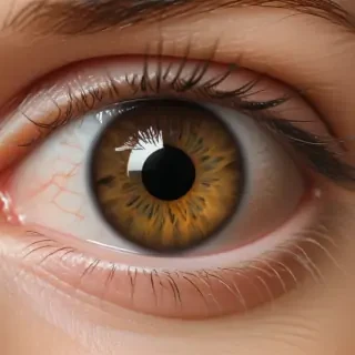 human eye png