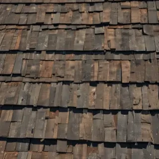 picture of shingles