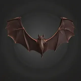 bat wings png