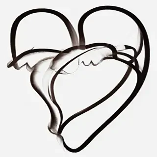 heart outline transparent