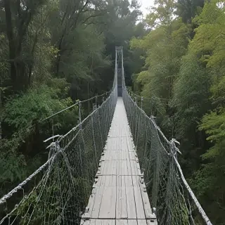suspension bridge