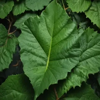 green leaf design
