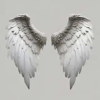png angel wings