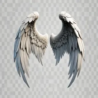 angel wings transparent background