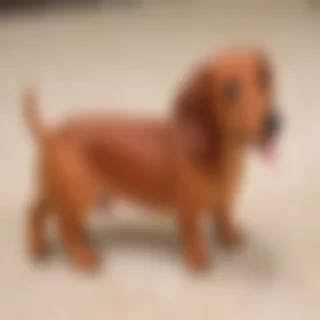weenie dog
