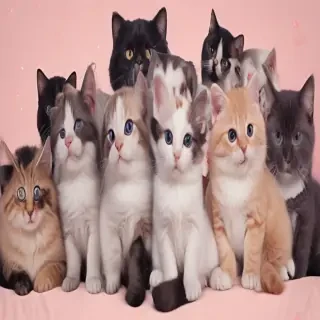 aesthetic cat backgrounds