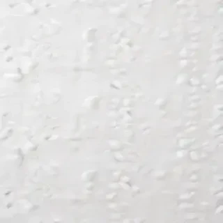 white background wallpaper