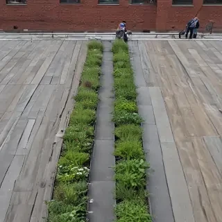 high line photos