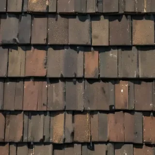 shingles images