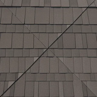 shingles images