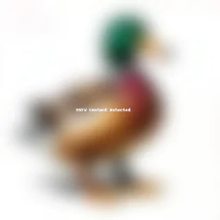 ducks png