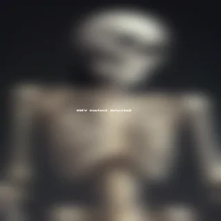 skeleton wallpaper iphone