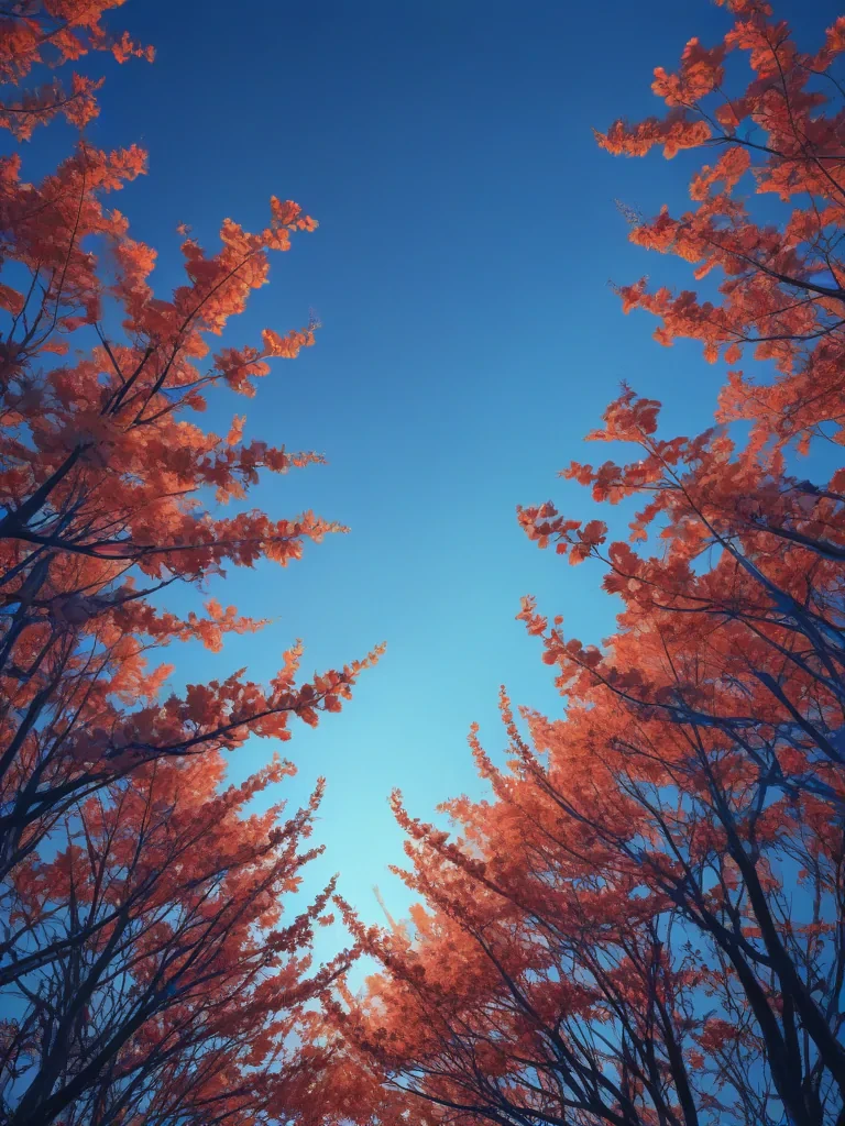 Autumn Leaves Create a Stunning Canopy Against the Clear Blue Sky