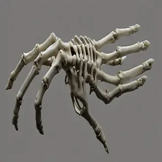 skeleton hand png