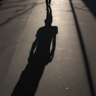 shadow transparent