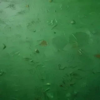 textured green background