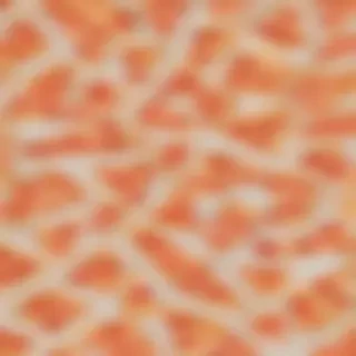 pizza slice png