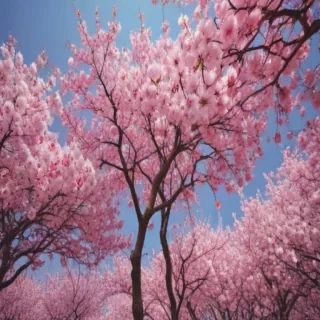 spring iphone background
