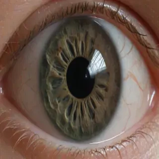 png eyeball