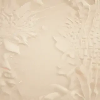 backgrounds cream