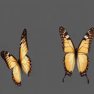 butterfly background transparent