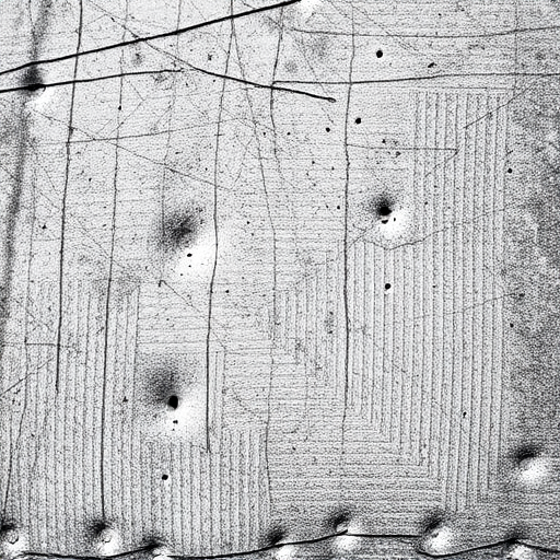 scratchy texture
