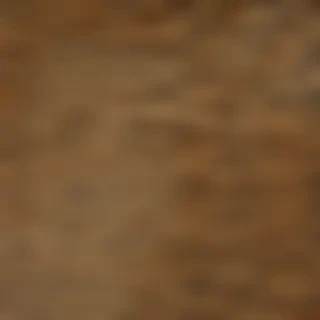 leopard print png