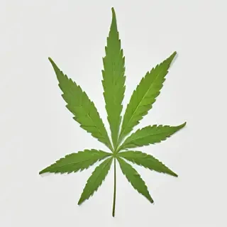 weed leaf png