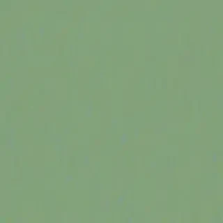 sage green bg