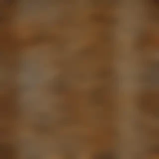 leopard print png