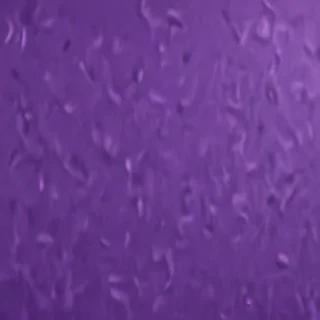 cute purple background