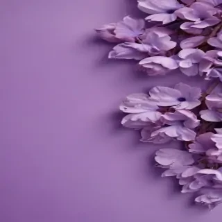 mauve background