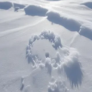 transparent snow