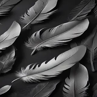 feather background