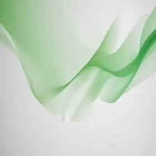 white and green background