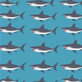 shark background